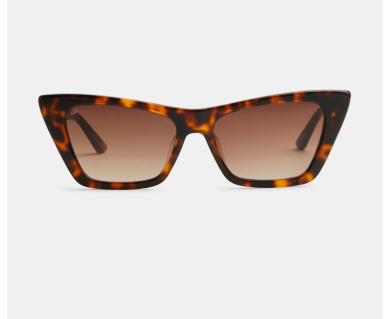 Wonderland Glasses - Honey Tort