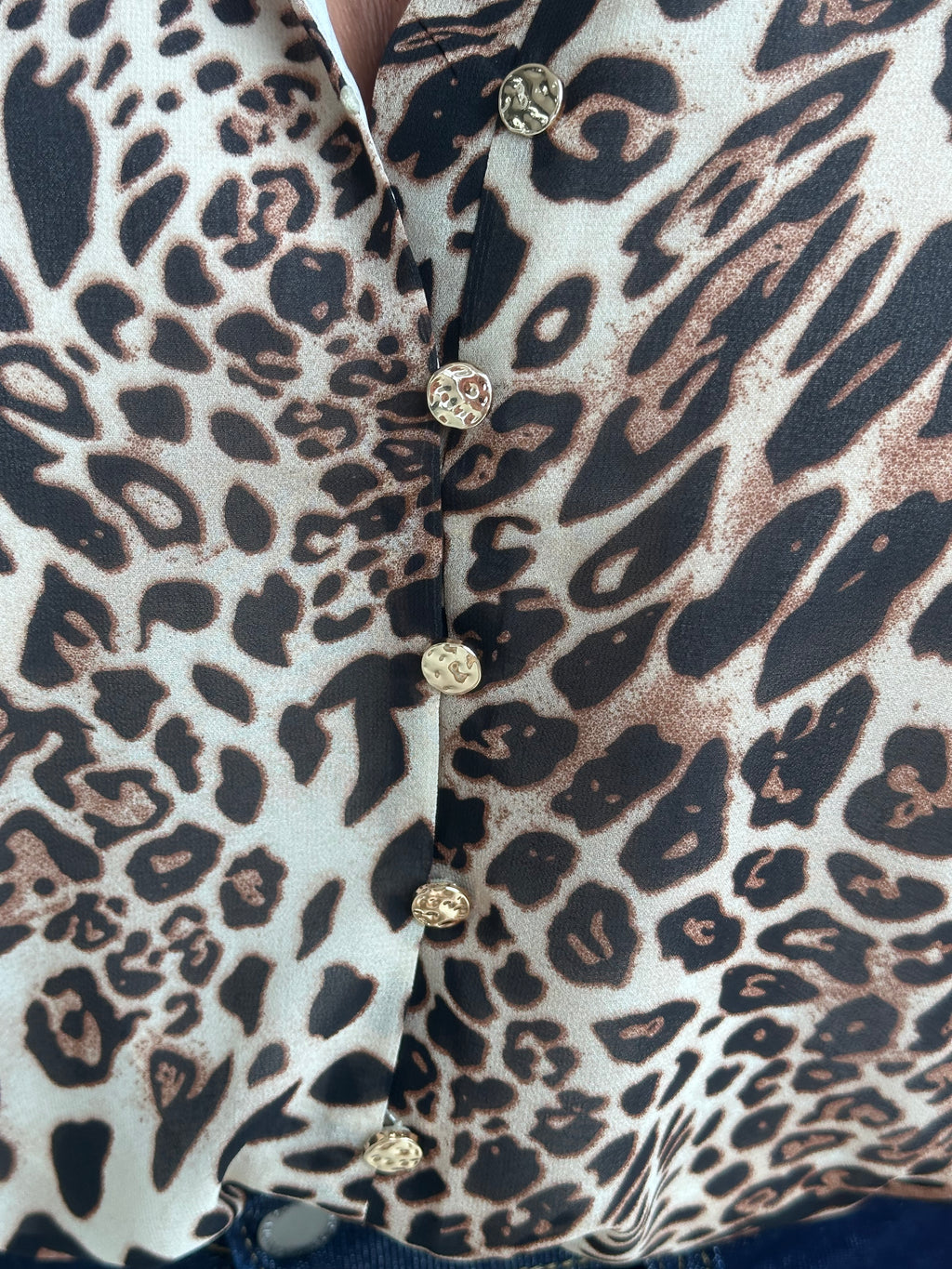 Leopard Button Blouse