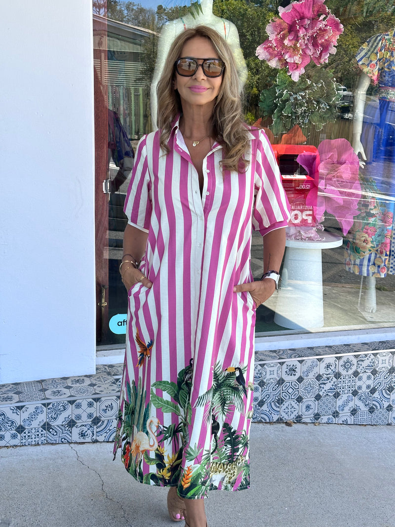 Jungle Stripe Shirt Dress