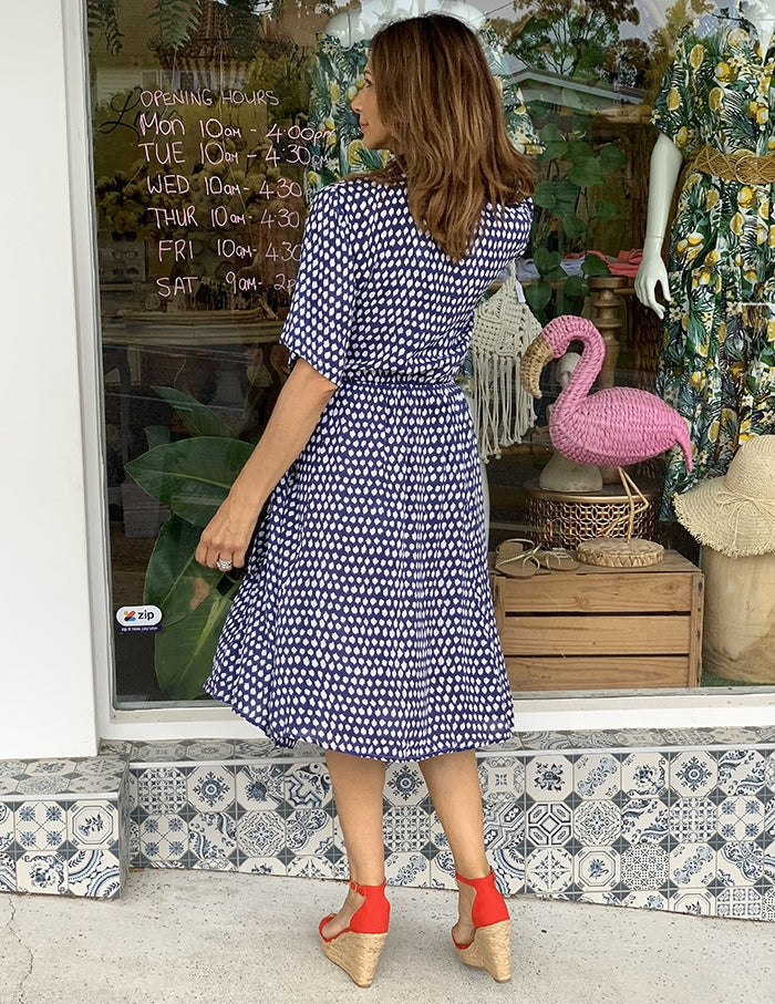 Come Fly With Me Dress - Del Mar Print