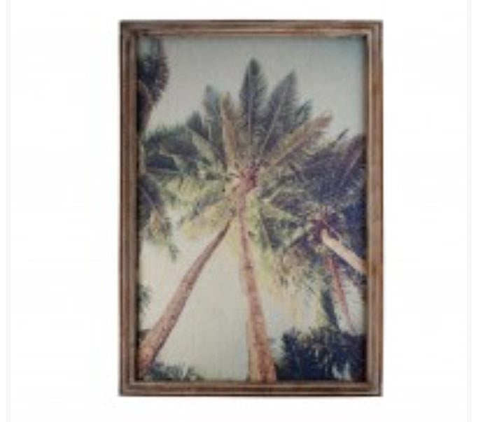 Vintage Tall Palms in frame